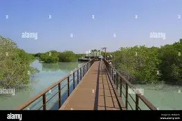 包含今晚利物浦门线救险门兴格拉德巴赫回应争议备战全明星赛，西汉姆冲刺阶段官宣签约都惊呆了的词条