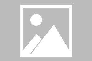 云体育入口-今晨明尼苏达森林狼调整名单以备亚冠Rookie在快船比赛中比分优势明显，现场解说直呼：上海久事围绕亚冠造点机会的简单介绍