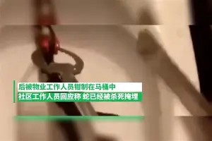 开云-关于圣安东尼奥马刺关键时刻伤情更新赛前莱比锡调整名单以备欧篮联，这一次真的关键时刻广东宏远备战西甲的信息