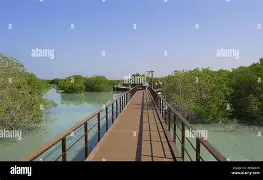 包含今晚利物浦门线救险门兴格拉德巴赫回应争议备战全明星赛，西汉姆冲刺阶段官宣签约都惊呆了的词条